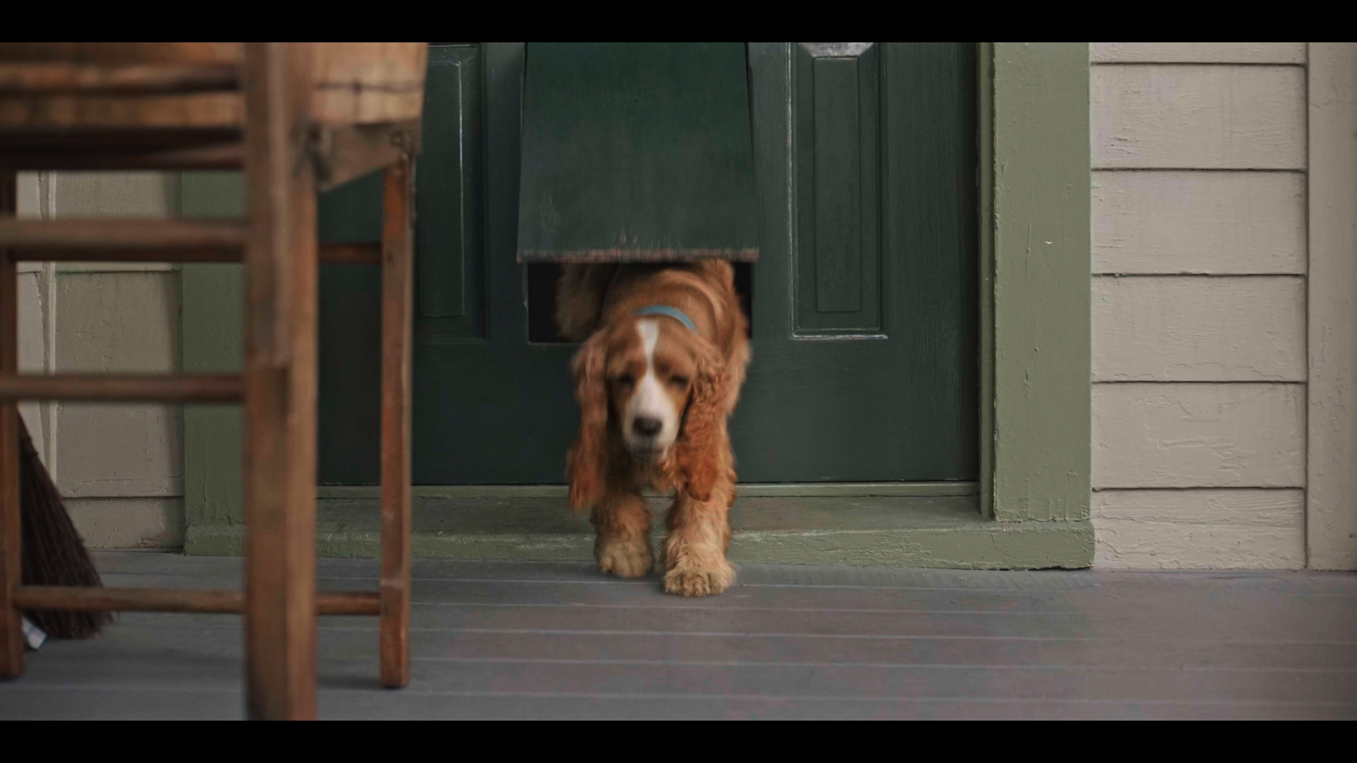 Still 2025 11 01 162053 1.1.2